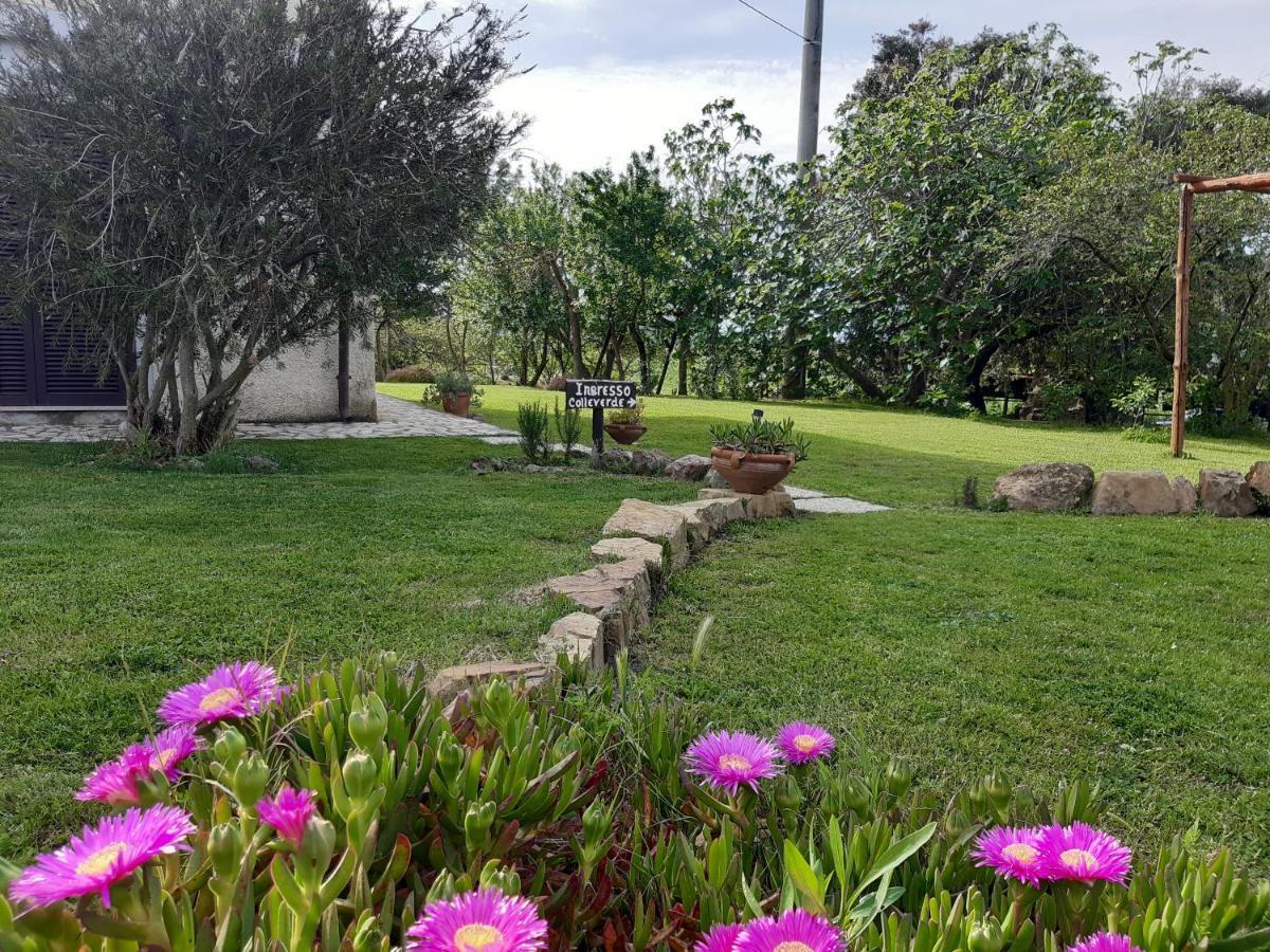 Agriturismo Colleverde Capalbio Eksteriør bilde