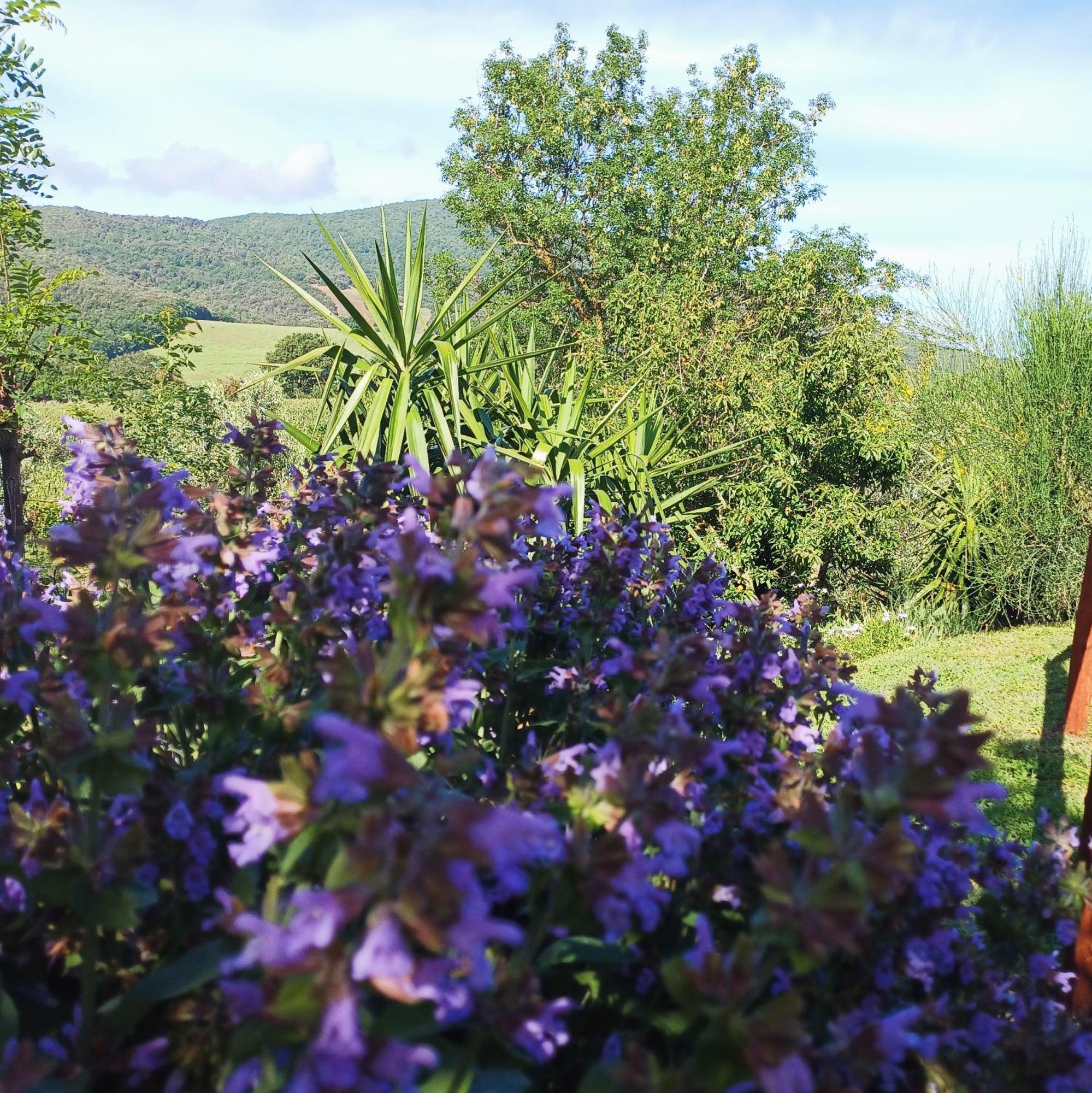 Agriturismo Colleverde Capalbio Eksteriør bilde