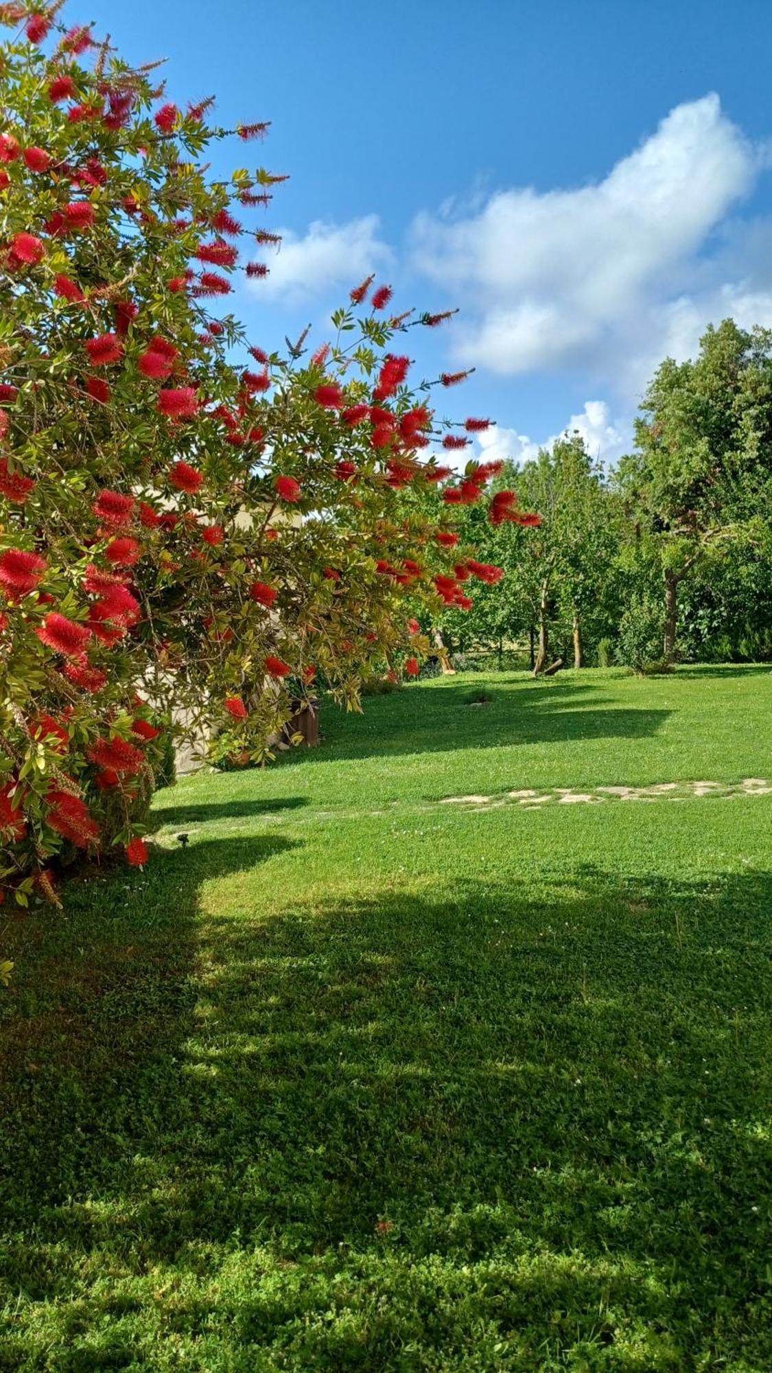 Agriturismo Colleverde Capalbio Eksteriør bilde